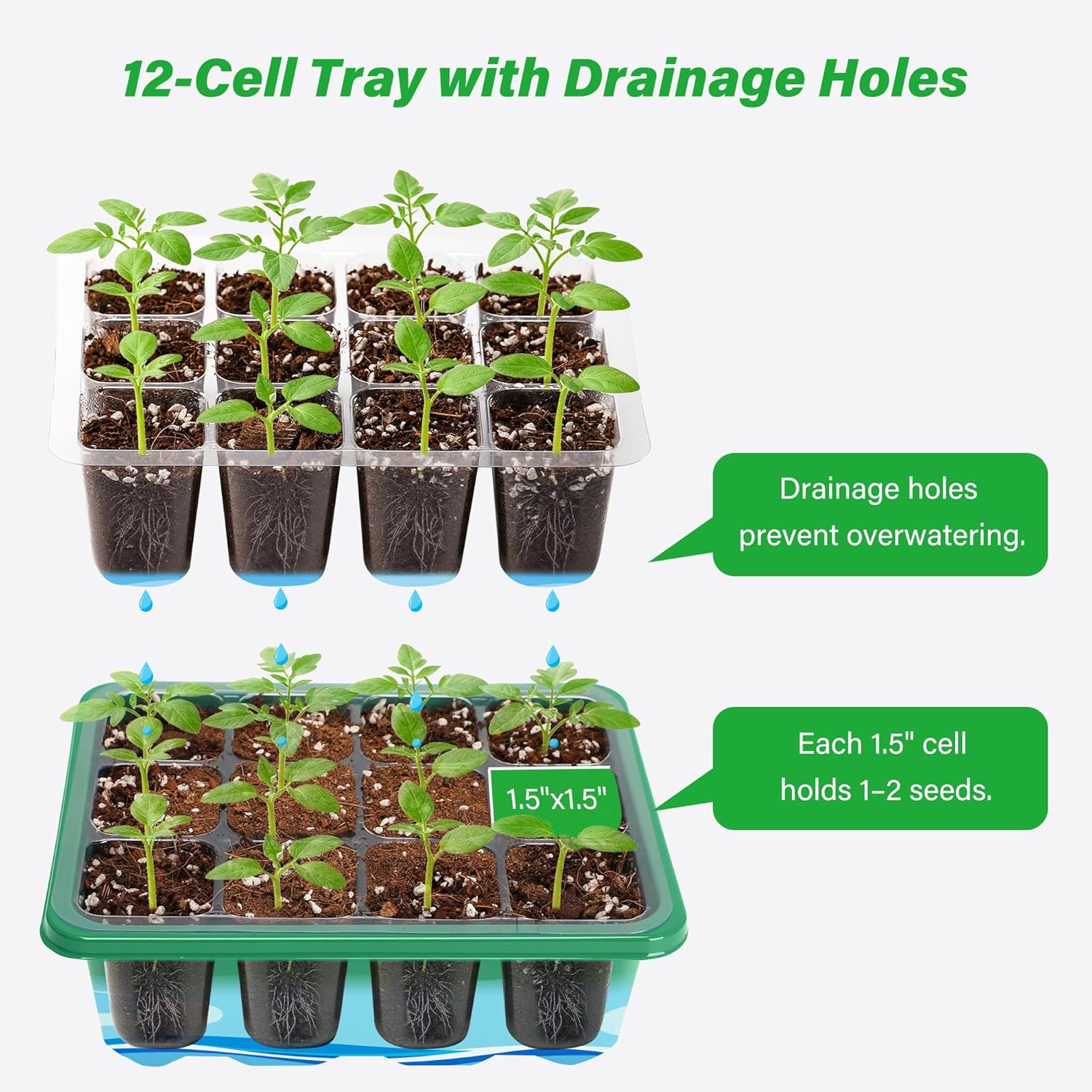 Growing Starting Nursery Trays - مراجعة Propagation Tray Dome وسعره
